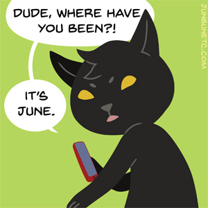 Cast ID picture of MaxCat, the black cat mascot.